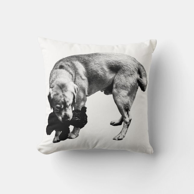 Coussin Courbe de protection (Recto)