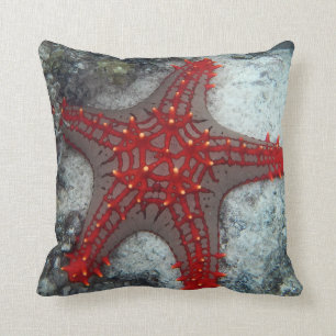 Coussin Couronne des étoiles de mer d'épines sur le récif