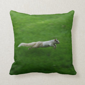Coussin Course blanche d'écureuil