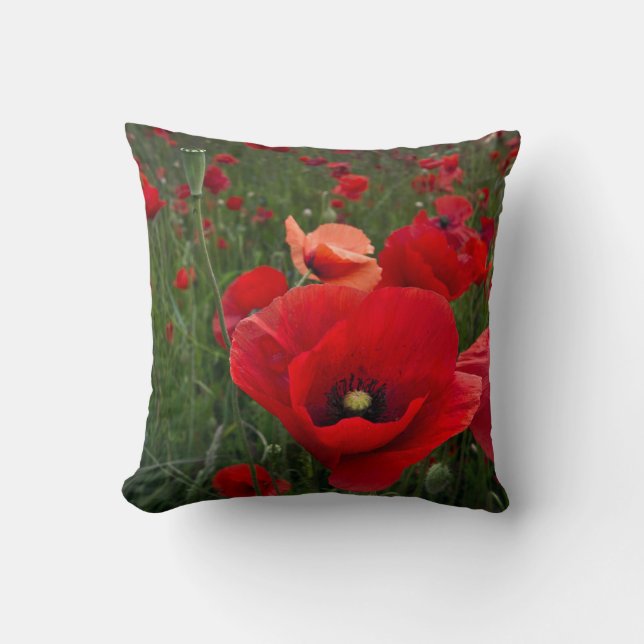 Coussin Coussin/Coque de mojo américain de Poppy Field (Recto)