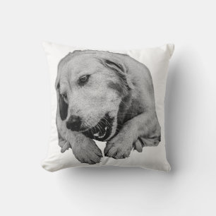 Coussin Couvertures, friandises et lumières du soir