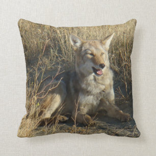 Coussin Coyote R18 Couché