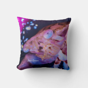 Coussin Crabe nageur (Lissocarcinus laevis Miers, 1886 )