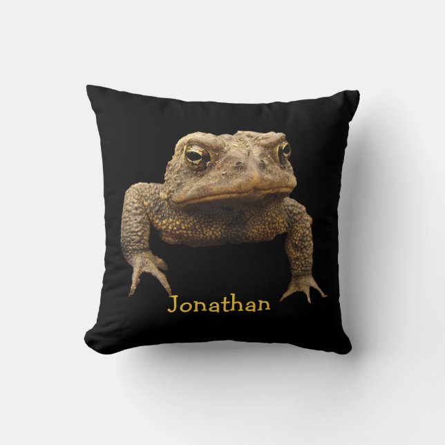 Coussin Crapaud américain (Recto)