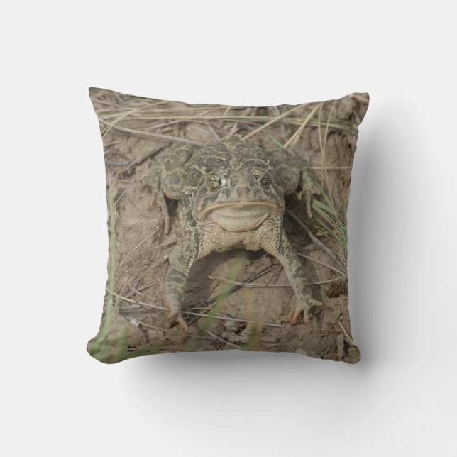 Coussin Crapaud de la prairie R10 (Recto)