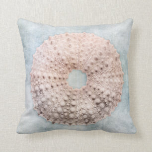 Coussin Crème Bleue du littoral en état de détériorati