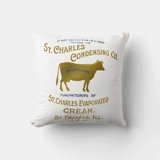 Coussin CRÈME DE LAIT DE VACHE LAITIÈRE St Charles Illinoi (Recto)
