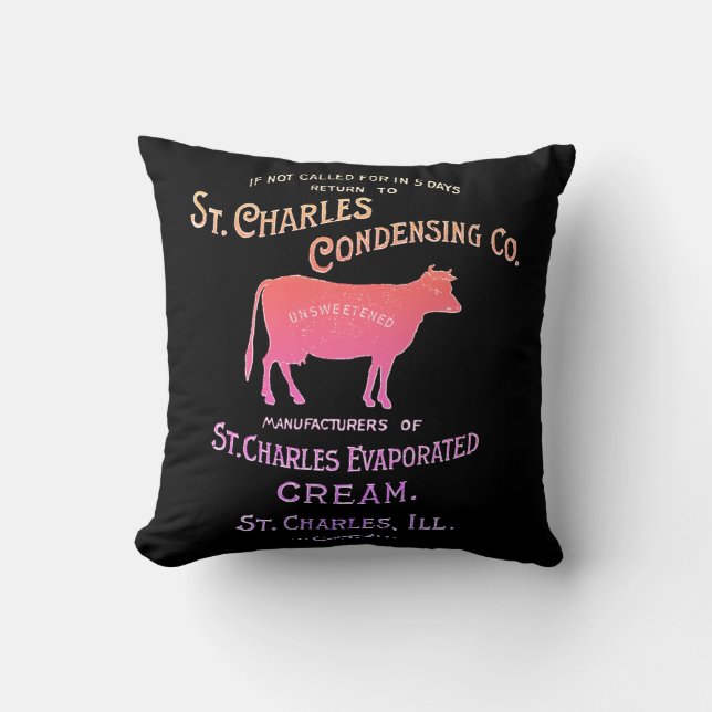 Coussin CRÈME DE LAIT DE VACHE LAITIÈRE St Charles Illinoi (Recto)