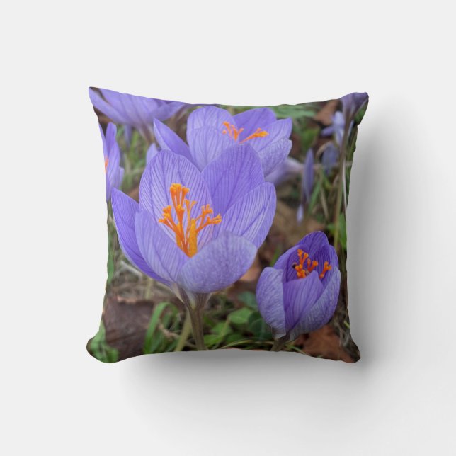 Coussin Crocus (Recto)