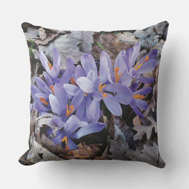 Coussin Crocus Floral Montagne Violet Pourpre Lilas (Recto)