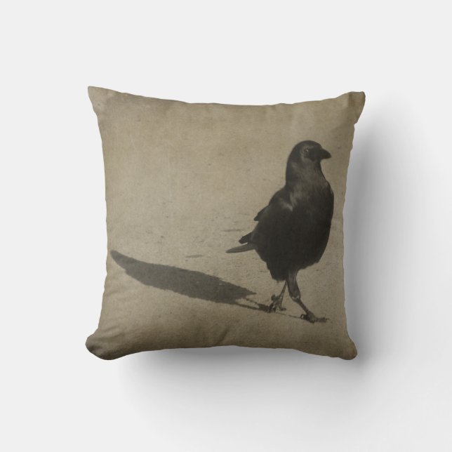 Coussin Crow Et Son Ombre (Recto)