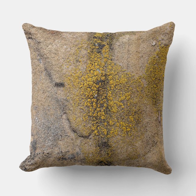 Coussin Cuba Mesa, Nouveau-Mexique (Recto)