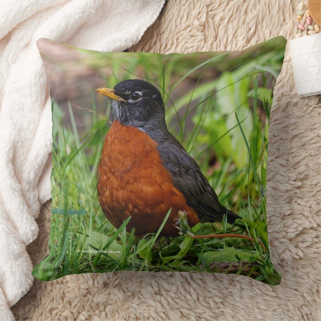 Coussin CuriousAmerican Robin Songbird dans l'herbe (Couverture)