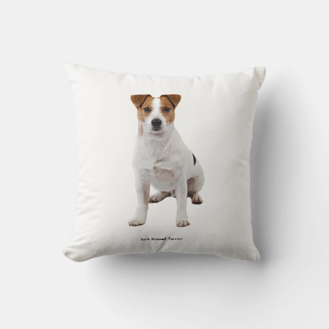 Coussin Cushion (Recto)