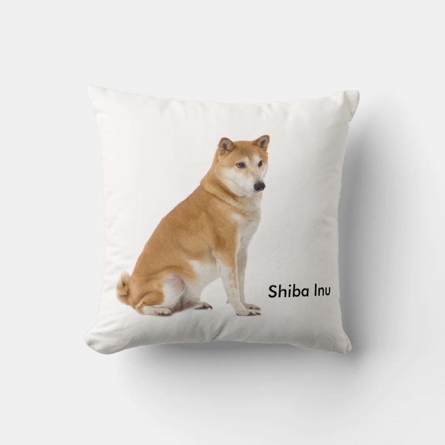 Coussin Cushion (Recto)