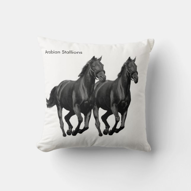 Coussin Cushion (Recto)