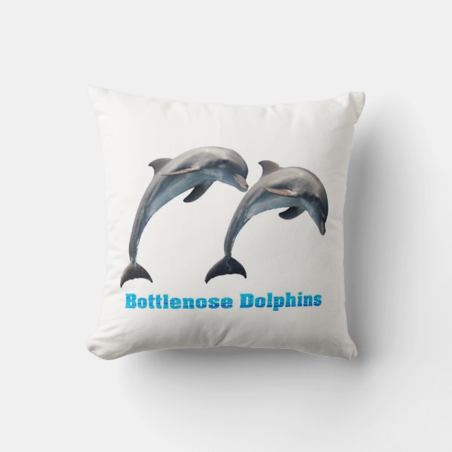 Coussin Cushion (Recto)