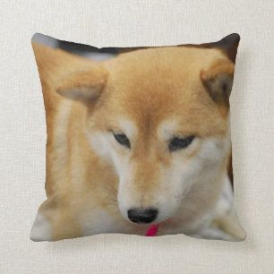 coussin - customisé