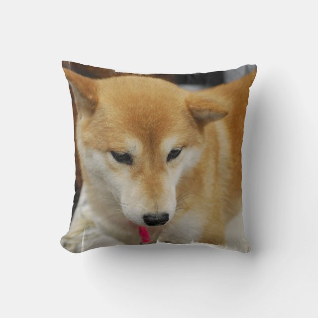 coussin - customisé (Recto)