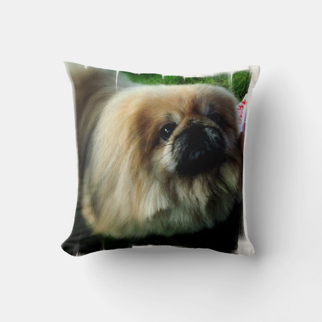 coussin - customisé (Recto)