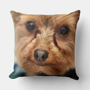 Coussin Cute