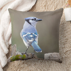 Coussin Cute Bleu Jay Songbird sur Treestump