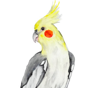 Coussin Cute Cockatiel Aquarelle Parrot.