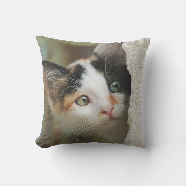Coussin Cute Curious Chat Kitten Yeux de prière - pour l'e (Recto)