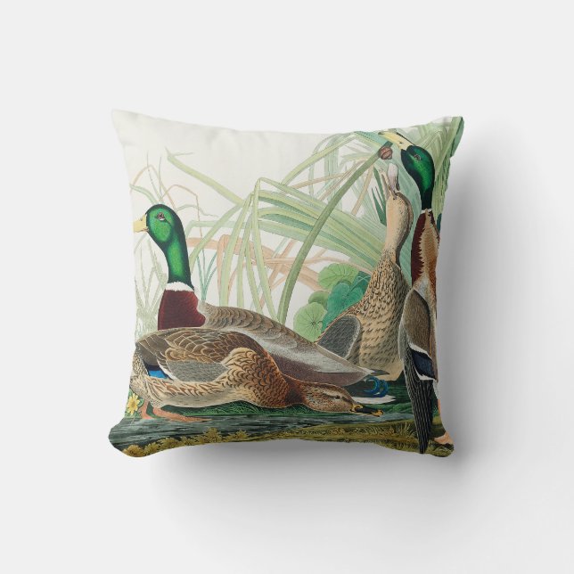 Coussin Cute Ducks from Birds of America (Audubon) (Recto)
