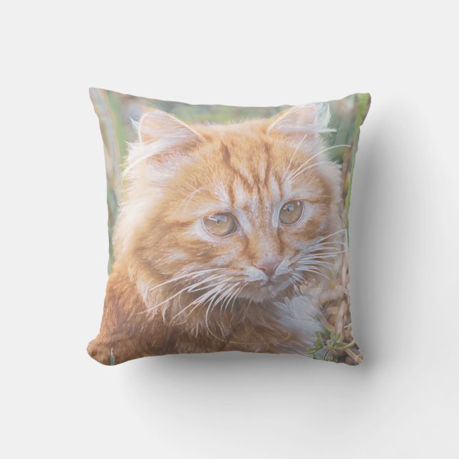 Coussin Cute Funky Gingembre Chat Kitten Peinture (Recto)