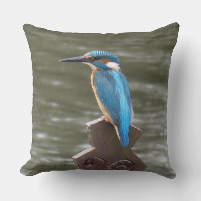 Coussin Cute Kingfisher Throw Pillow (Recto)