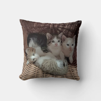 Coussin Cute Kittens in Basket Throw Pillow