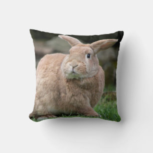 Coussin Cute lapin de gingembre avec de grandes oreilles