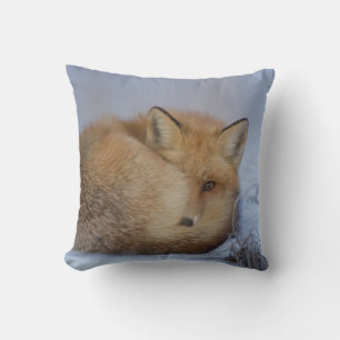 Coussin Cute Little Fox Curling Up Winter Photo
