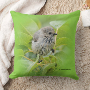 Coussin Cute Weet humide Bushtit Songbird dans Laurel Shru