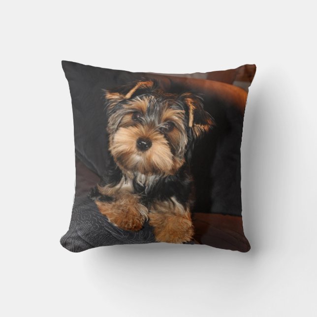 Coussin Cute Yorkshire Terrier Yorkie Chien Chien Chien Ch (Recto)