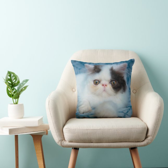 Coussin Cutest Baby Animals | Black & White Kitten (Chaise)
