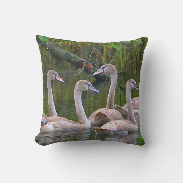 Coussin cygne (Recto)