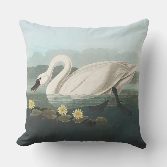 Coussin cygne audubon cygnes d'eau blanche (Recto)