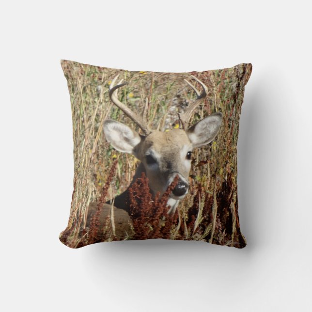Coussin D31 Cerf à queue blanche dans les mauvaises herbes (Recto)