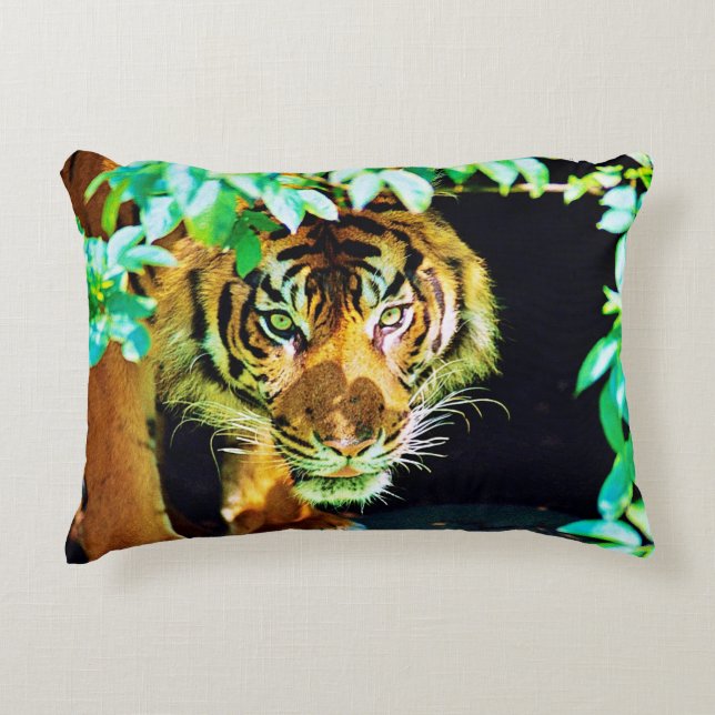 Coussin d'accent (Devant)
