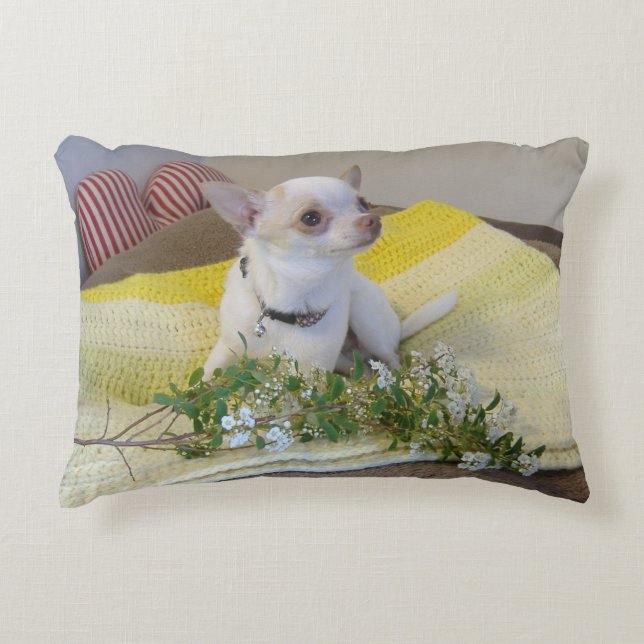 Coussin d'accent (Devant)