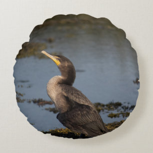 Coussin d'accent cormoran à double poitrine