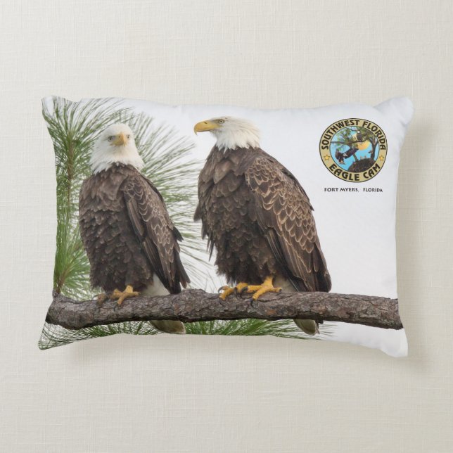 Coussin d'accent de H&O (Dos)