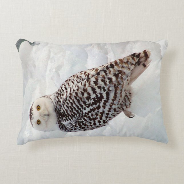 Coussin d'accent de Snowy Owl (Devant)