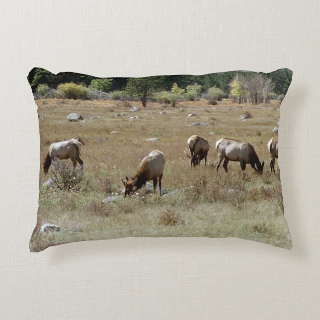 Coussin d'accent d'elk (Devant)