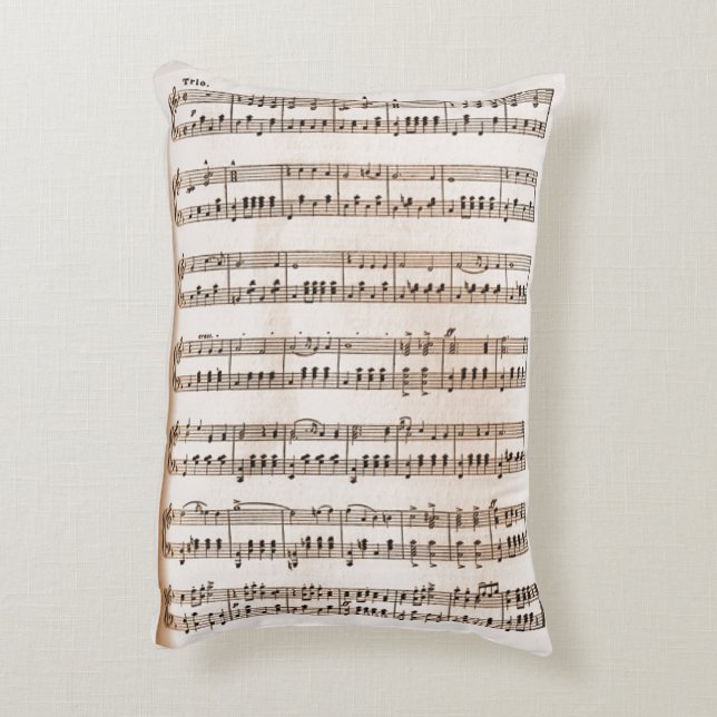 Coussin d'accent Grötlunken I Medevi (Dos(Vertical))