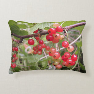 Coussin d'accents de cassis