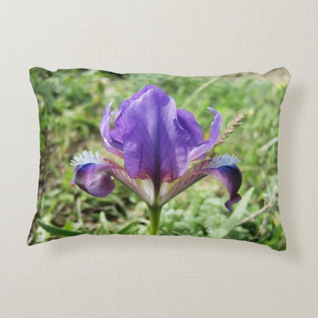Coussin d'accents Wild Iris (Dos)