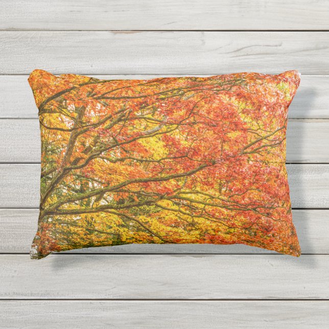 Coussin d'accentuation de l'automne de l'automne d (Devant)
